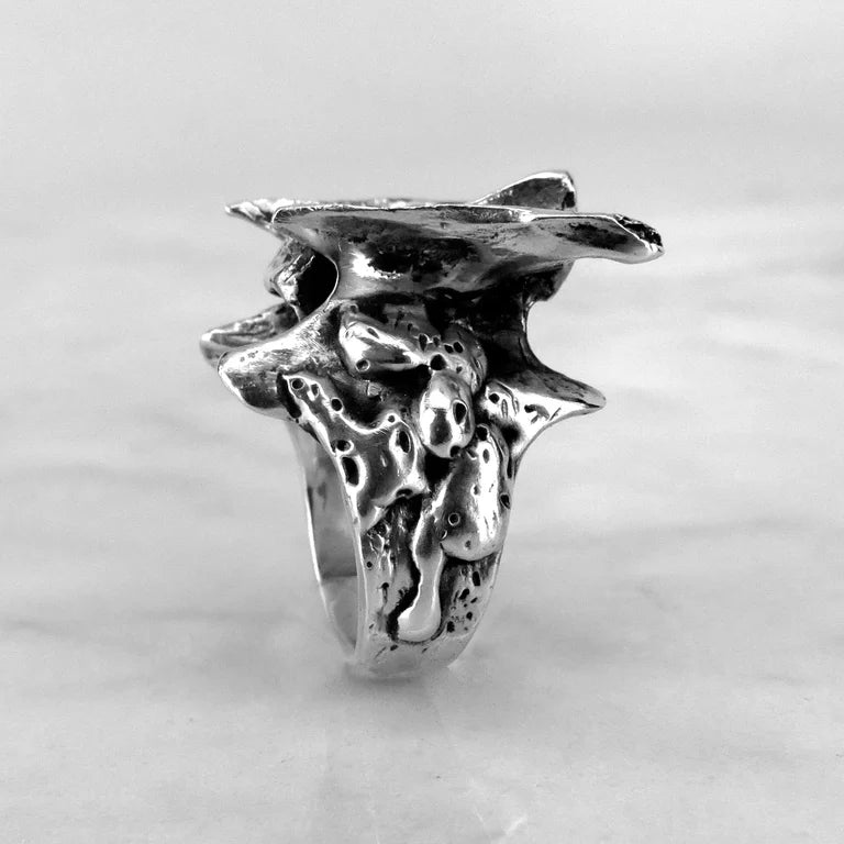 Vertebra I Ring