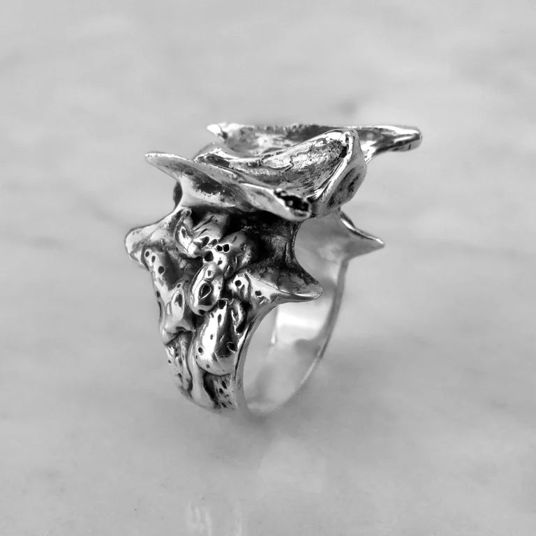 Vertebra I Ring