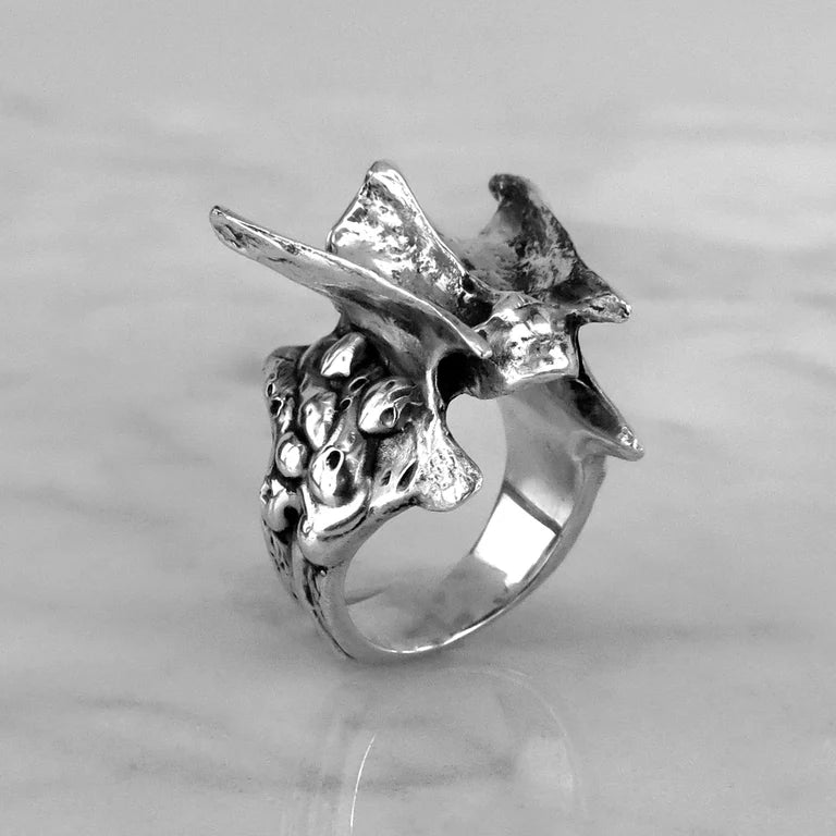 Vertebra I Ring