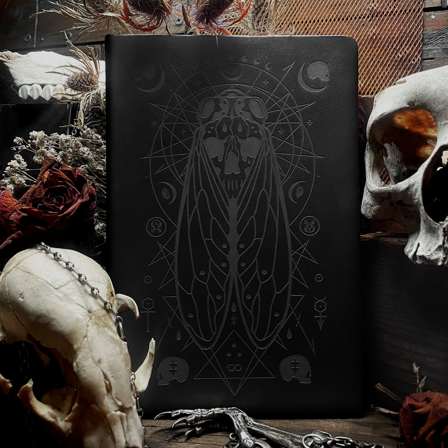 Death's Head Cicada Notebook