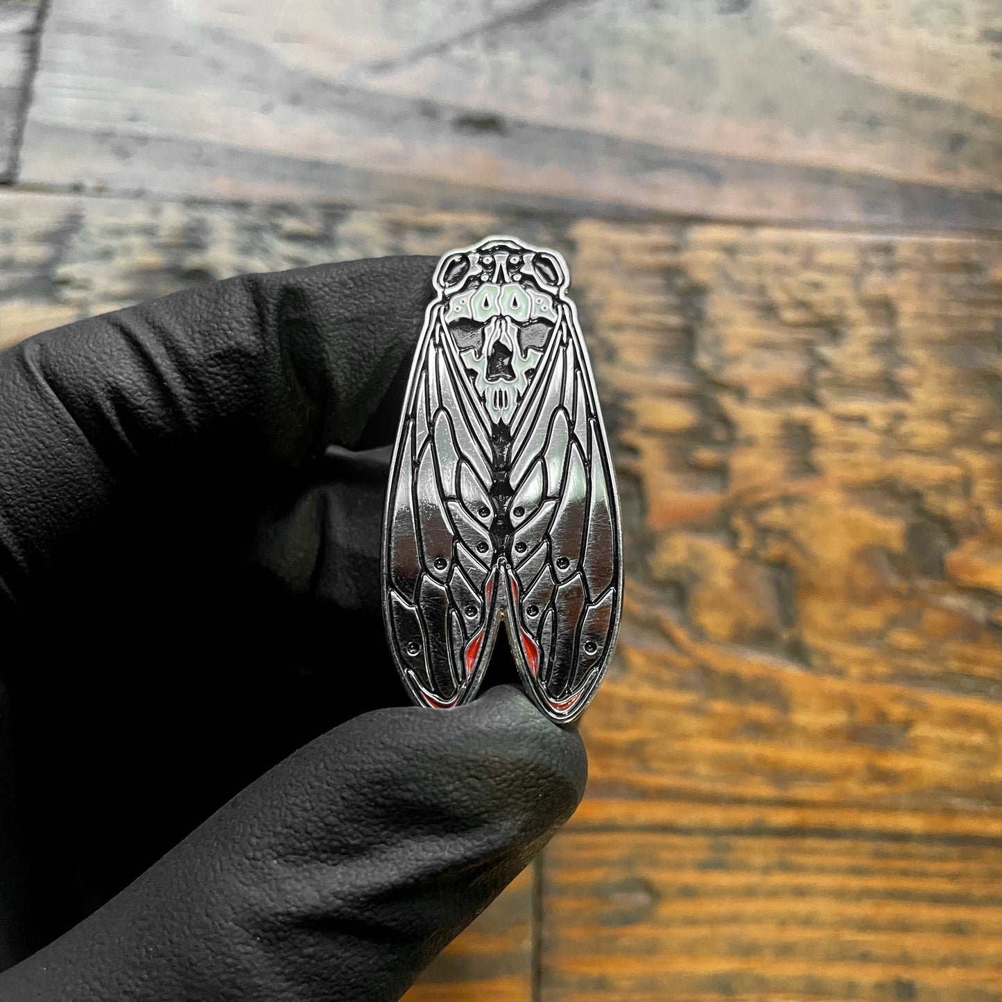 Death's-Head Cicada Pin