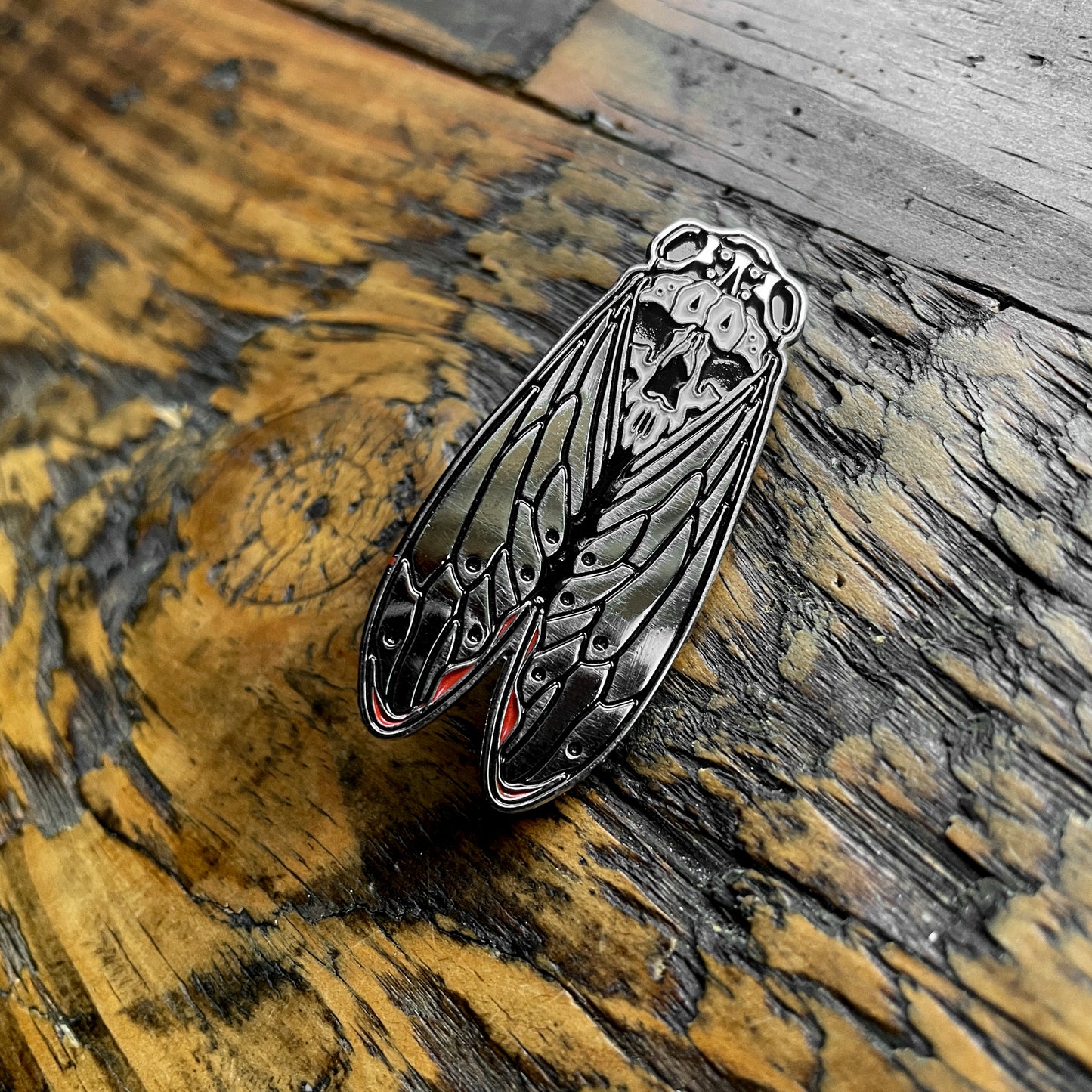 Death's-Head Cicada Pin