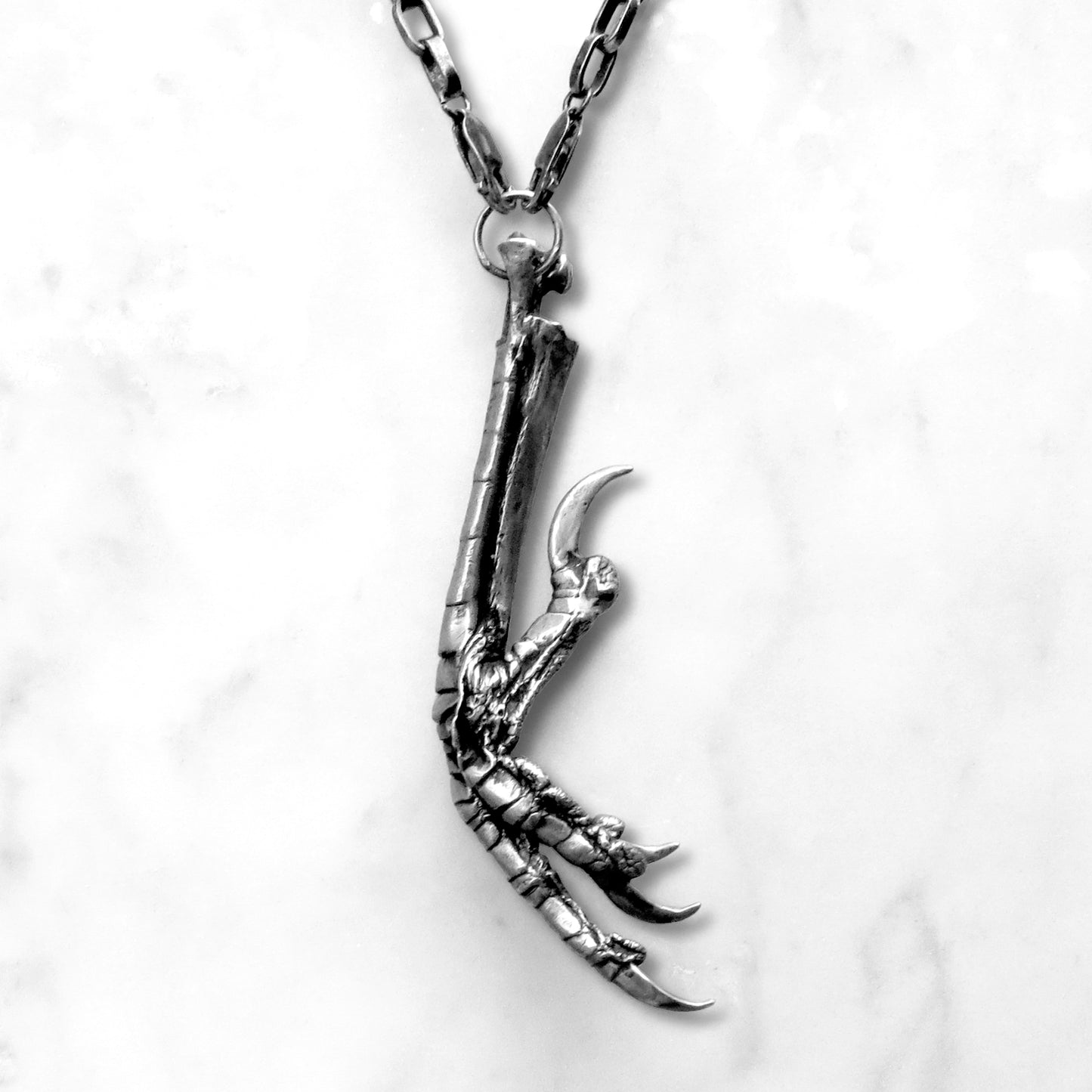 Crow Claw Necklace