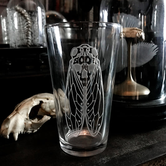 Death's-Head Cicada Glass