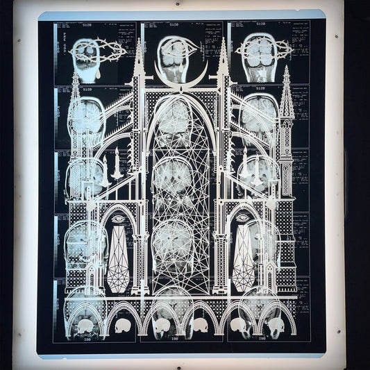 Mors Ianva Vitae Laser Etched MRI Print 1
