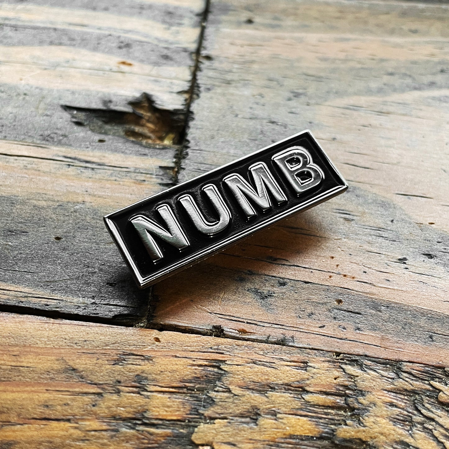 NUMB Pin